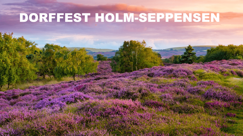 Dorffest in Holm-Seppensen - wir feiern mit